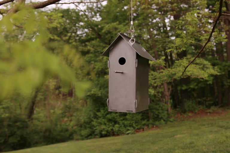Bird Box Mod